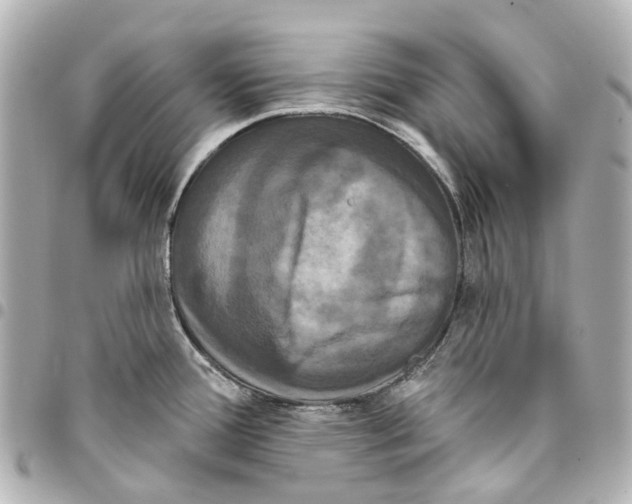 X0000093361388200711081505