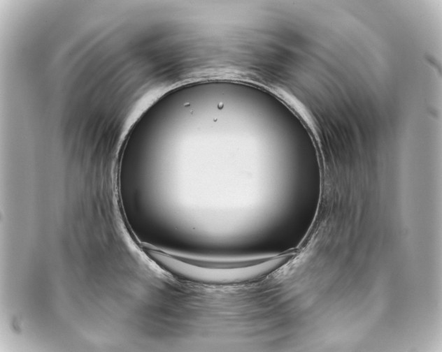 X0000093361389200711081505
