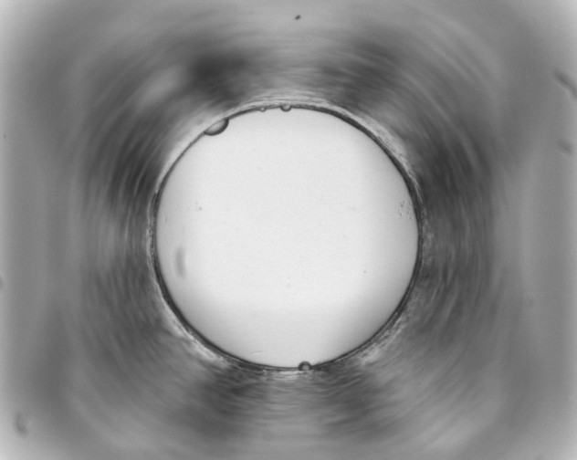 X0000093361390200711081505