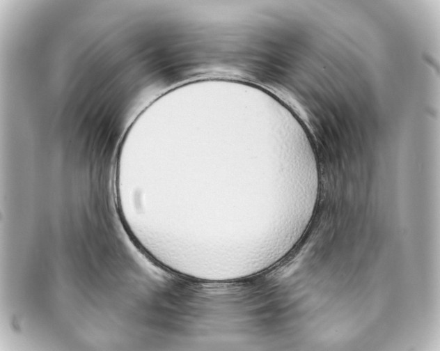 X0000093361391200711081505