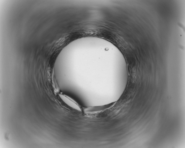 X0000093361394200711081504