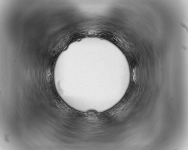X0000093361395200711081504