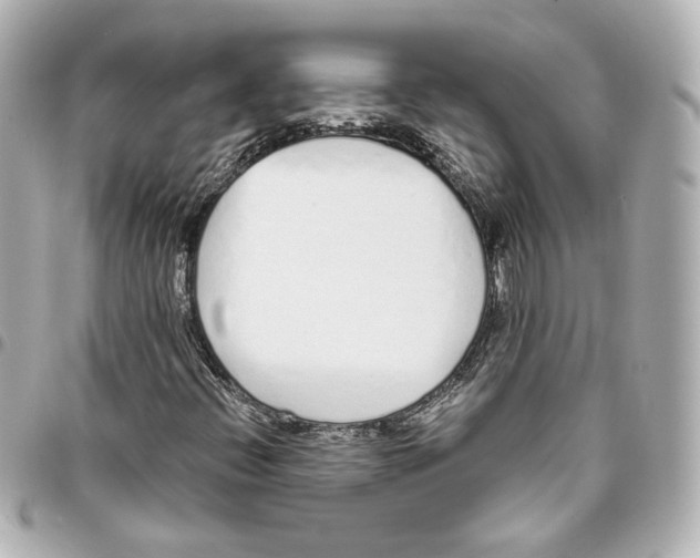 X0000093361396200711081504