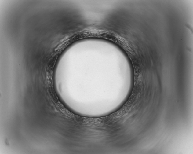 X0000093361397200711081504