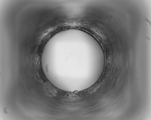 X0000093361398200711081504