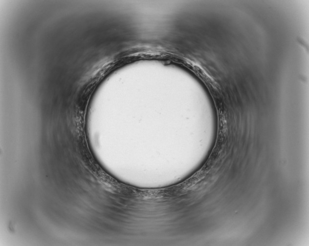 X0000093361399200711081504