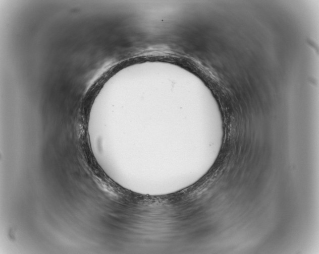 X0000093361400200711081504