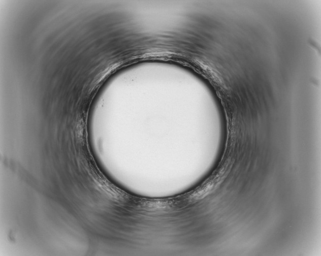 X0000093361401200711081504