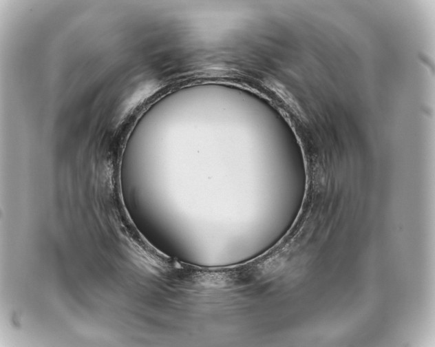 X0000093361402200711081504