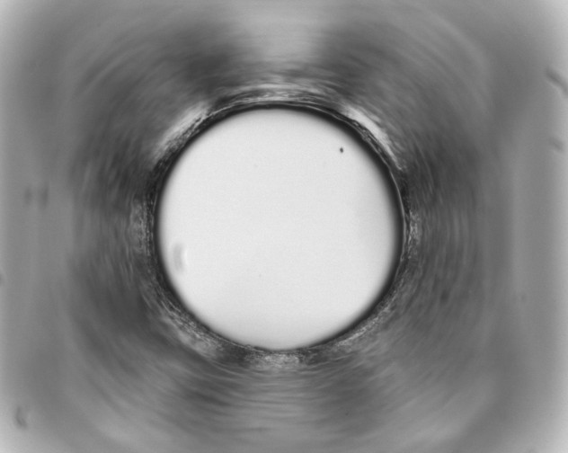 X0000093361403200711081504