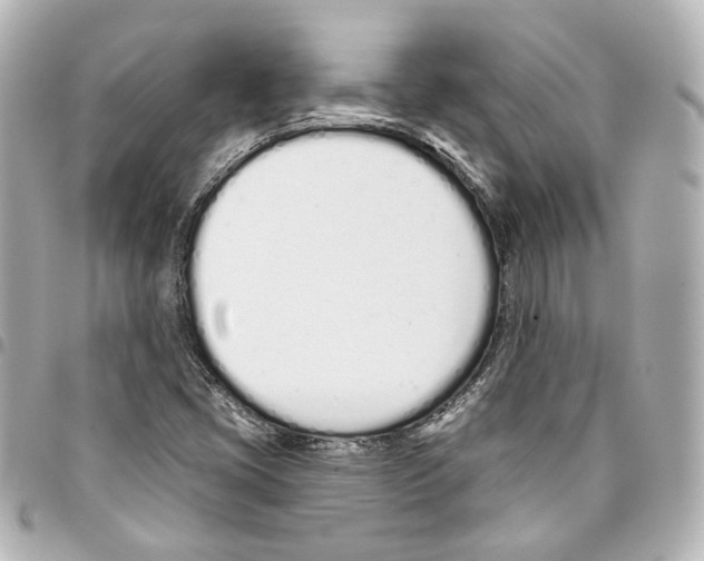 X0000093361405200711081504