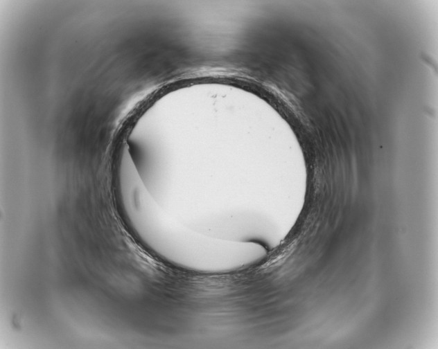 X0000093361406200711081504