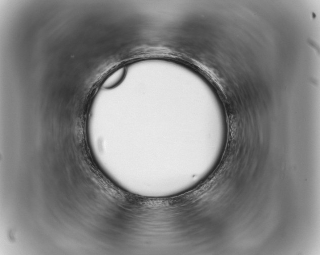 X0000093361407200711081504