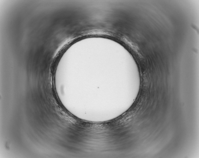 X0000093361408200711081505