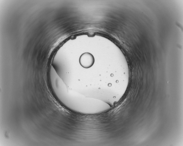 X0000093361410200711081505