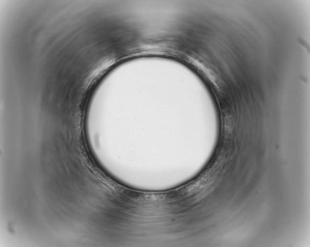 X0000093361411200711081505