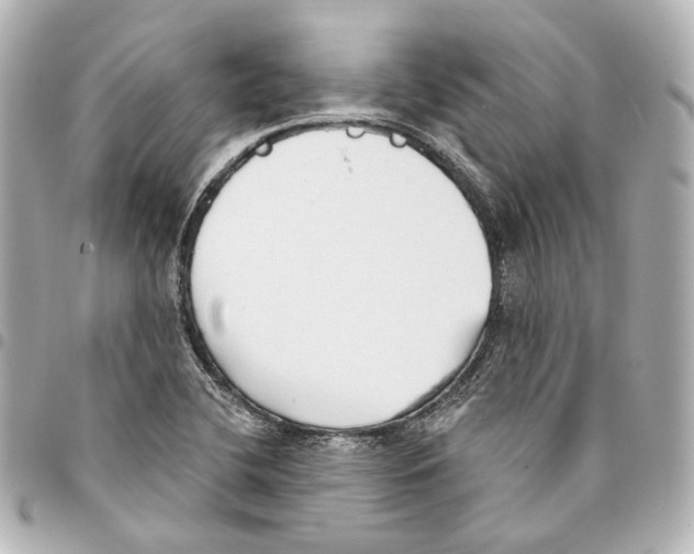X0000093361412200711081505