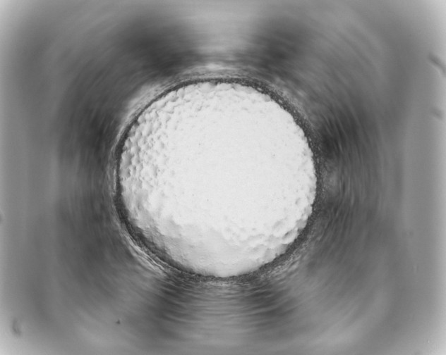 X0000093361413200711081505