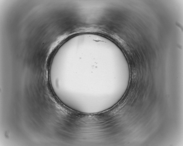 X0000093361414200711081505