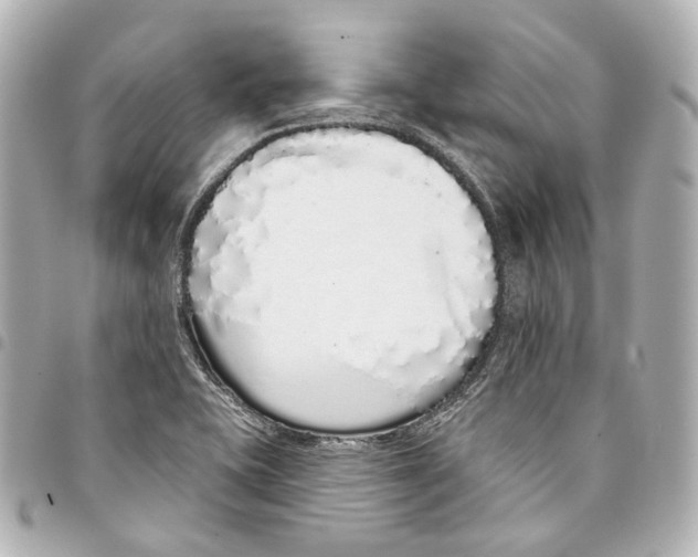 X0000093361415200711081505