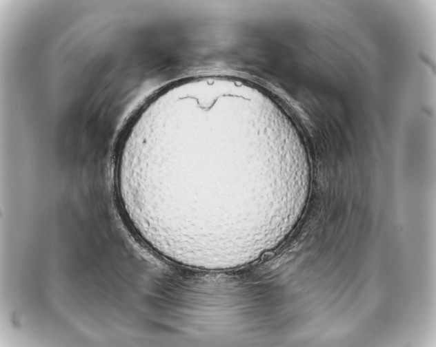 X0000093361416200711081505