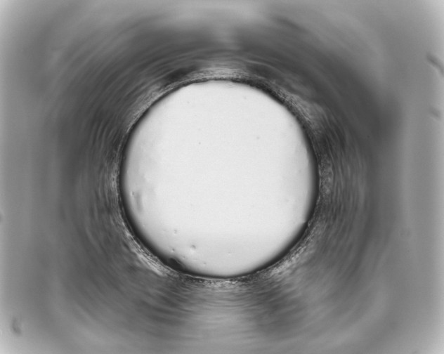 X0000093361417200711081505