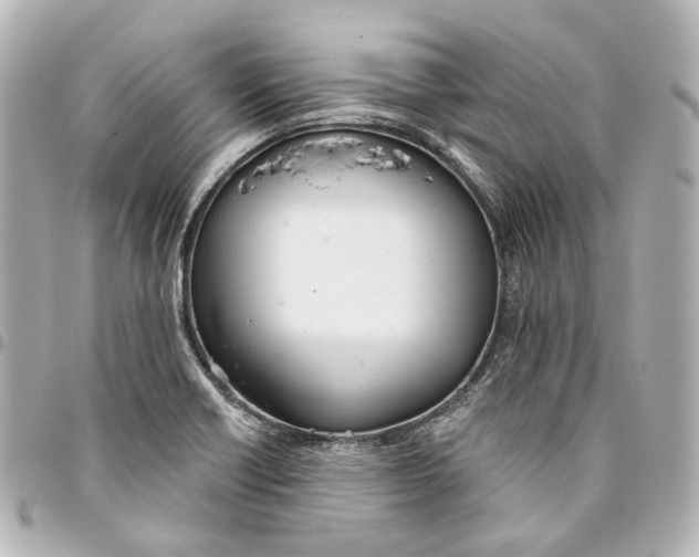 X0000093361418200711081505