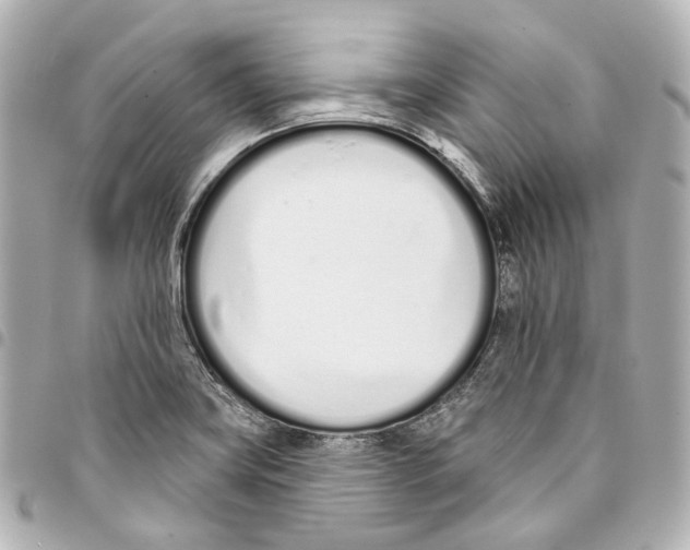 X0000093361419200711081505