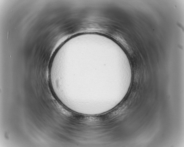 X0000093361420200711081505
