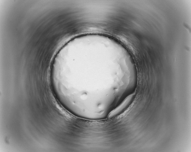 X0000093361421200711081505