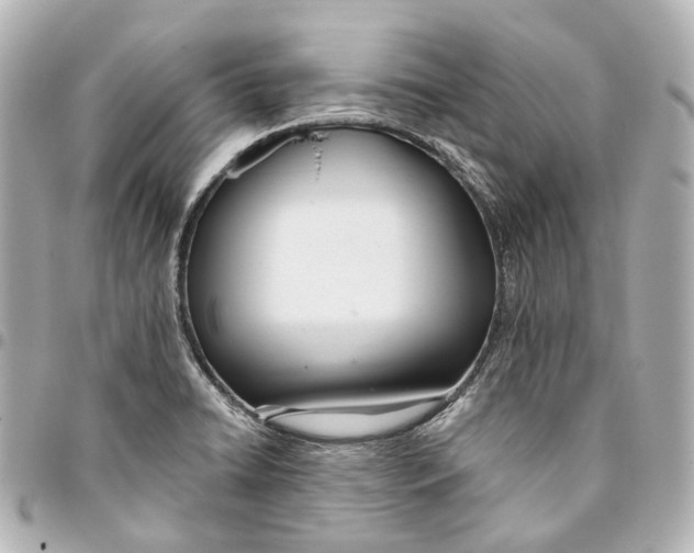 X0000093361422200711081505