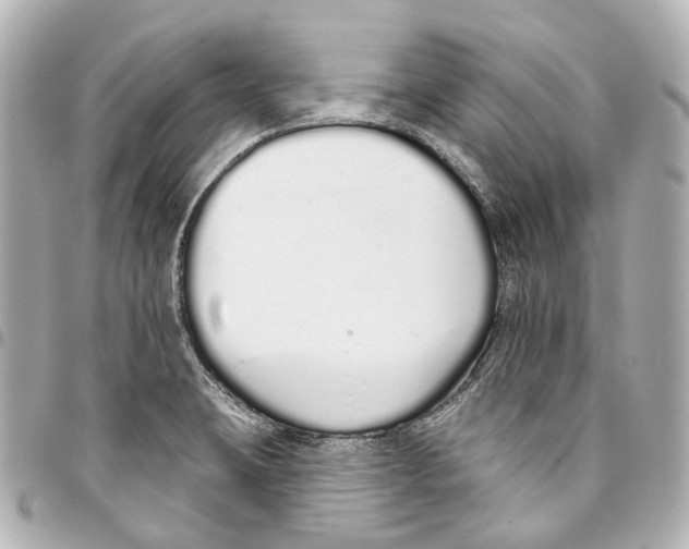 X0000093361423200711081505