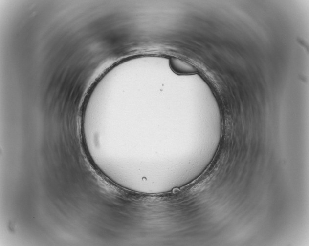 X0000093361424200711081505
