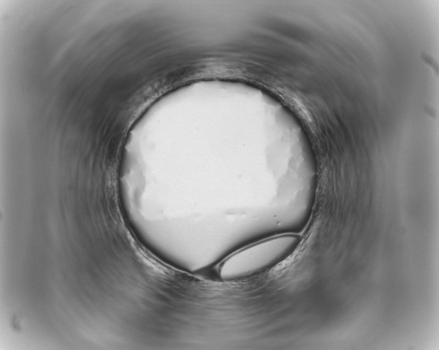 X0000093361425200711081505