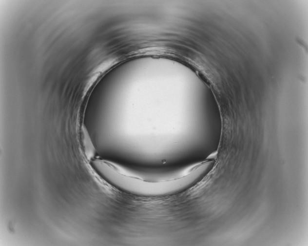 X0000093361426200711081505