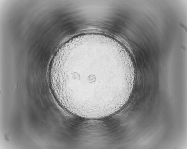 X0000093361429200711081505