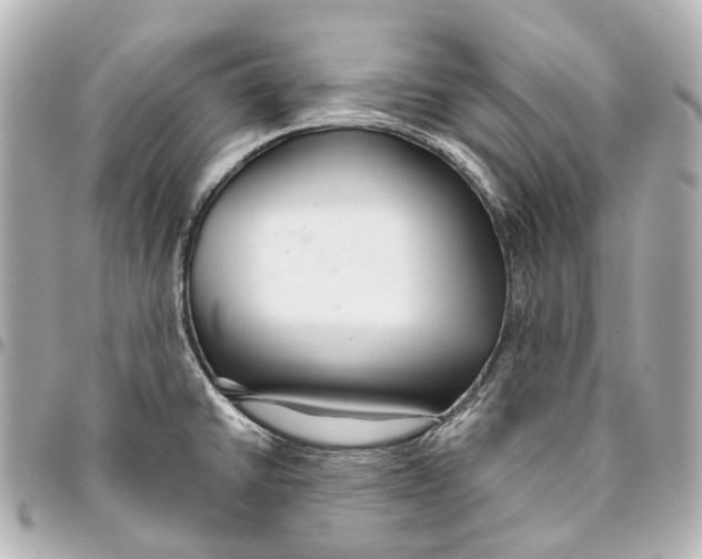 X0000093361430200711081505