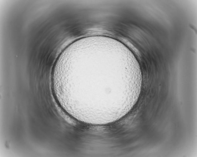 X0000093361431200711081505