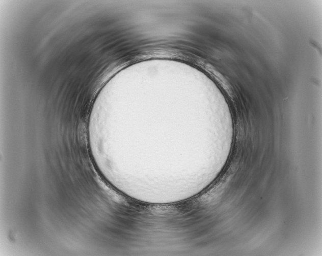 X0000093361433200711081505