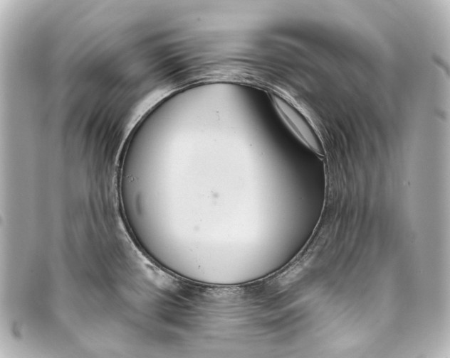 X0000093361434200711081505