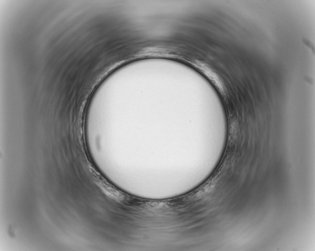 X0000093361435200711081505