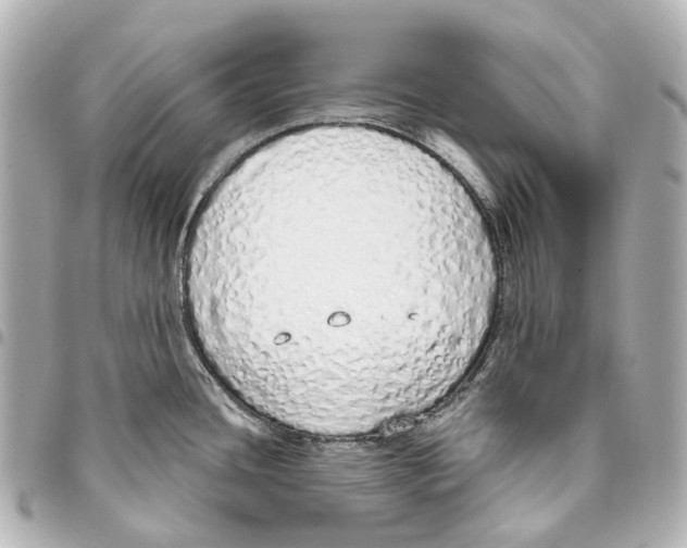 X0000093361436200711081505