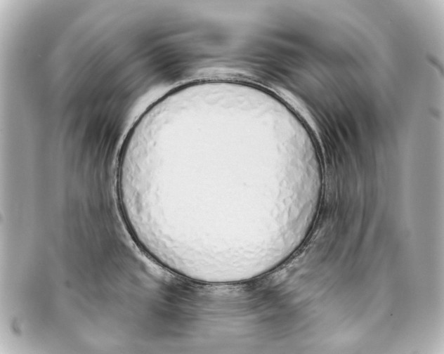 X0000093361437200711081505