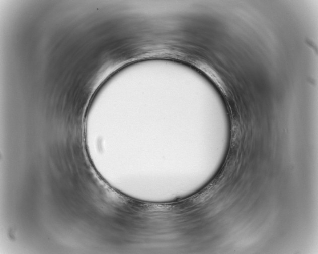 X0000093361439200711081505