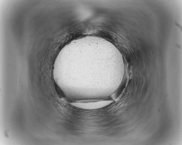 X0000093361441200711081504