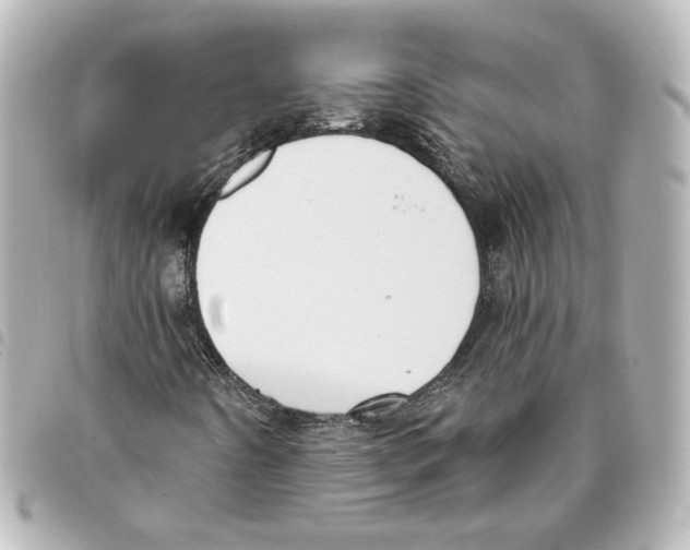 X0000093361442200711081504