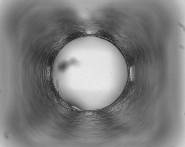 X0000093361443200711081504