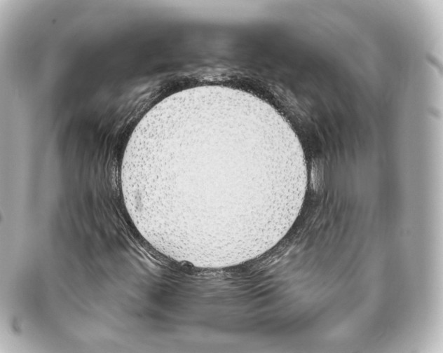 X0000093361444200711081504