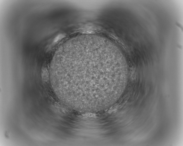 X0000093361446200711081504