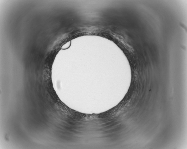 X0000093361447200711081504